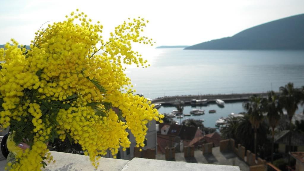 Apatments Stanojlovic Djenovic Apartment Herceg Novi Exterior photo