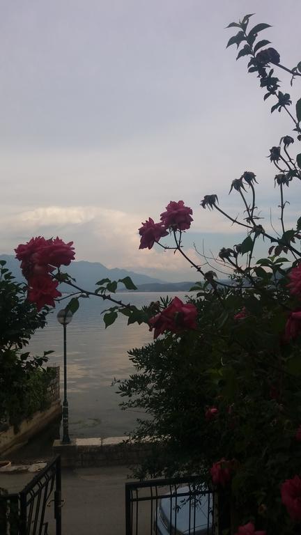 Apatments Stanojlovic Djenovic Apartment Herceg Novi Exterior photo