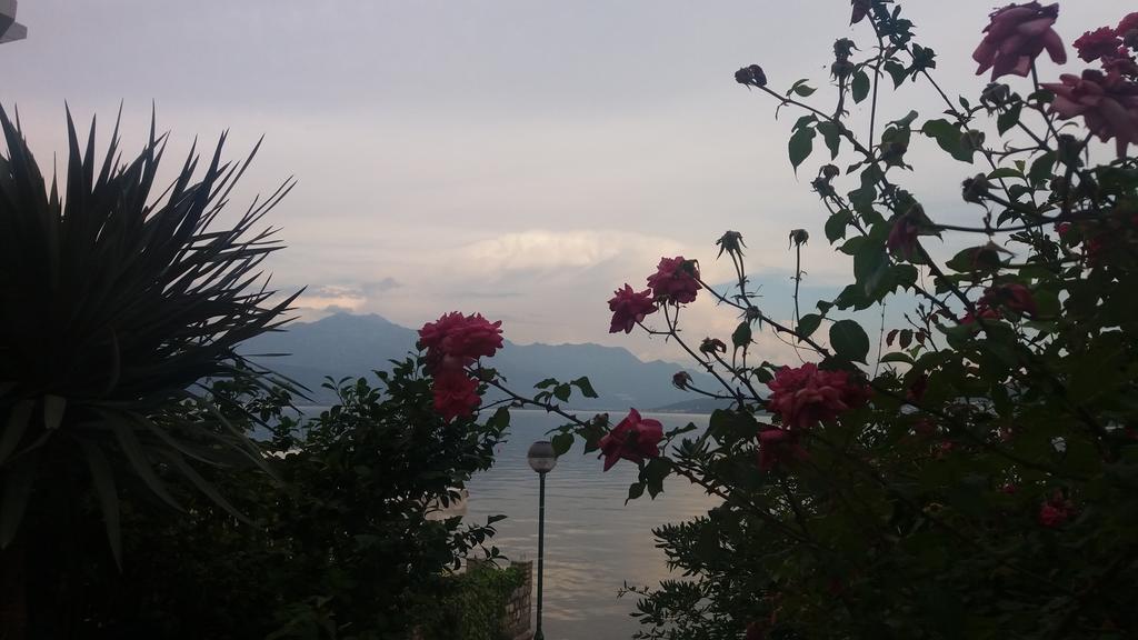 Apatments Stanojlovic Djenovic Apartment Herceg Novi Exterior photo